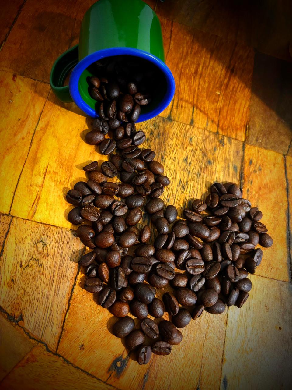 Colheita de café